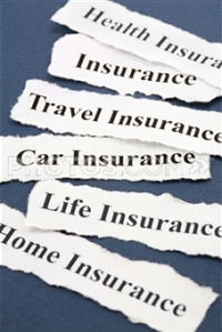 Do you have career insurance? 